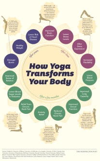 Yoga-Changes-Your-Body-Infographic